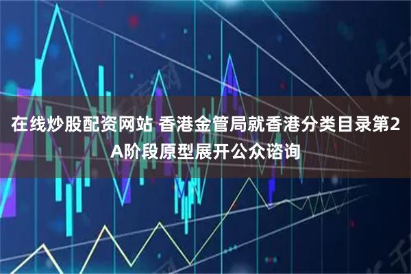 在线炒股配资网站 香港金管局就香港分类目录第2A阶段原型展开公众谘询