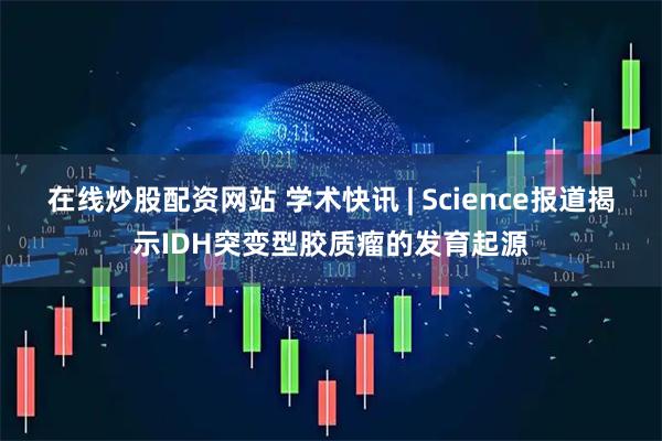 在线炒股配资网站 学术快讯 | Science报道揭示IDH突变型胶质瘤的发育起源